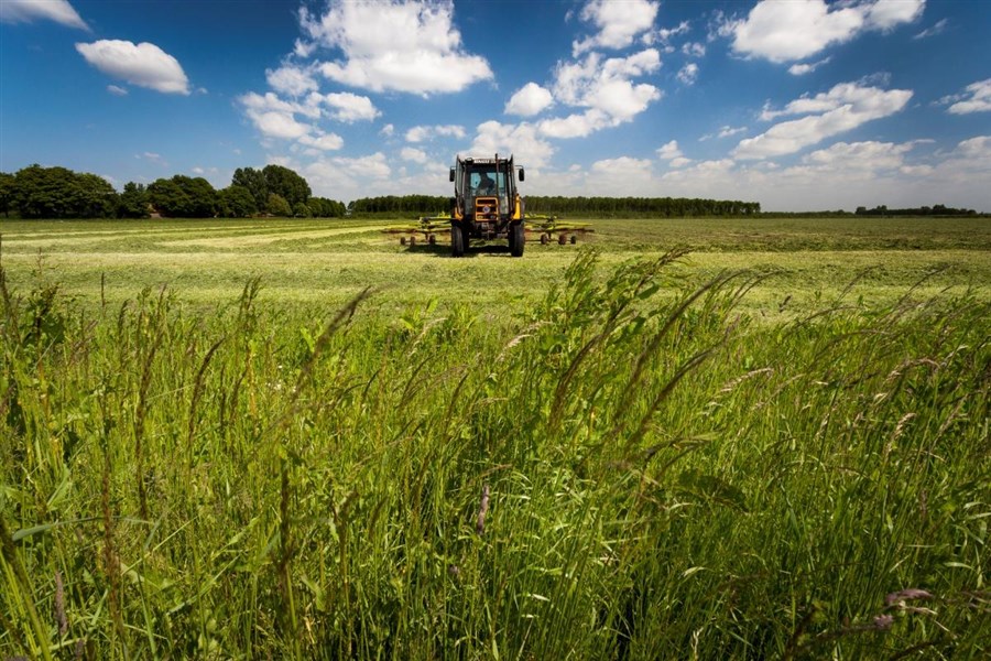 Bericht Gemeenschappelijk Landbouwbeleid in Noord-Brabant bekijken